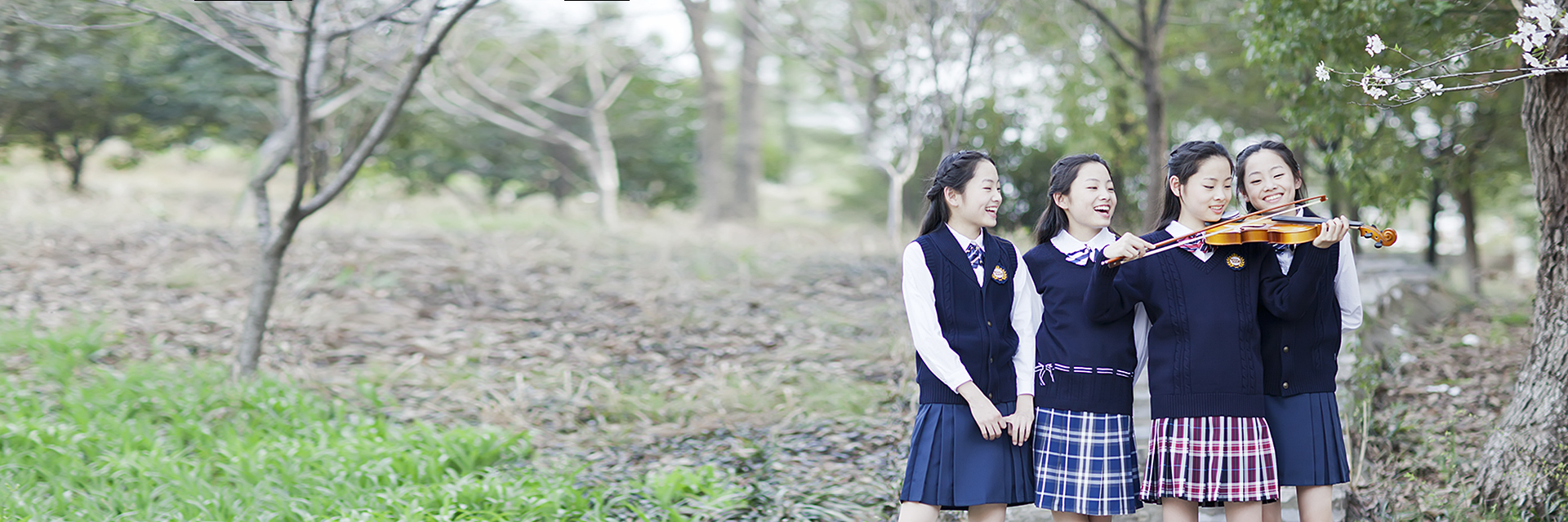 探索美 創(chuàng)造美