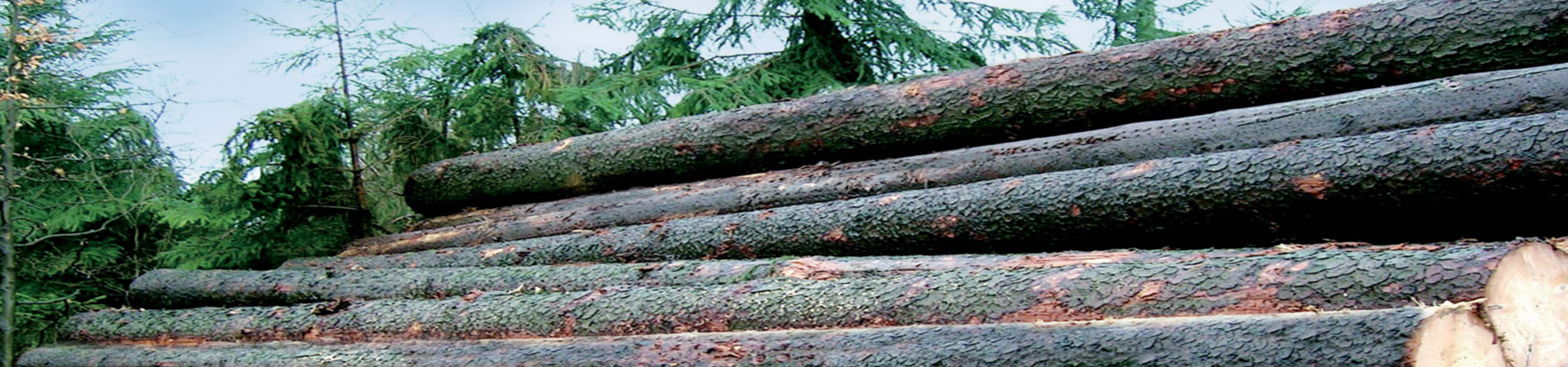 融匯全球資源<br>以綜合服務成就專業價值